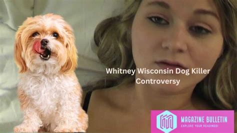 whitneywisconsin dog